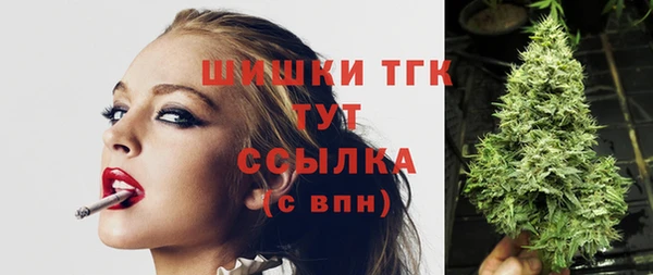 дживик Козловка
