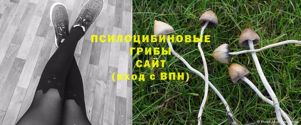 эйфоретик Баксан