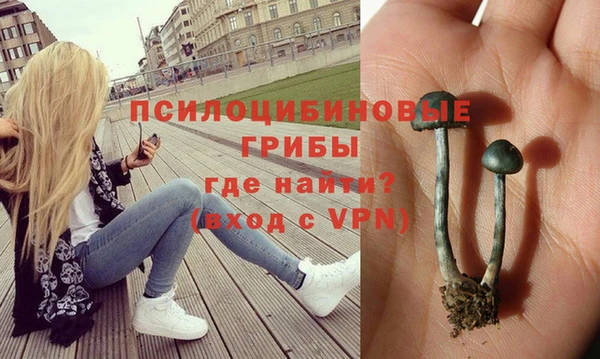 спиды Балахна